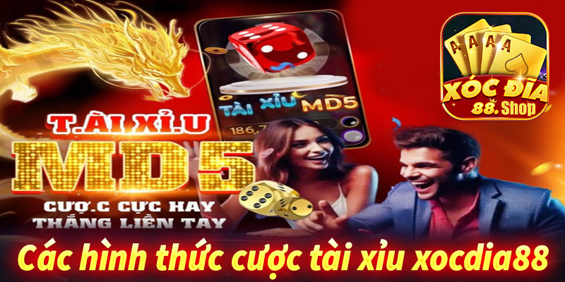 Các hình thức đặt cược tại game tài xỉu xocdia88 